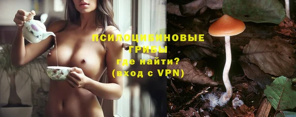 ГАЛЛЮЦИНОГЕННЫЕ ГРИБЫ Баксан