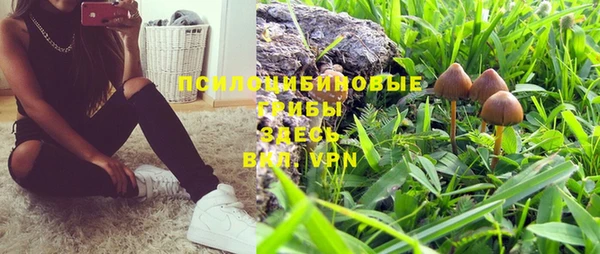 ГАЛЛЮЦИНОГЕННЫЕ ГРИБЫ Баксан