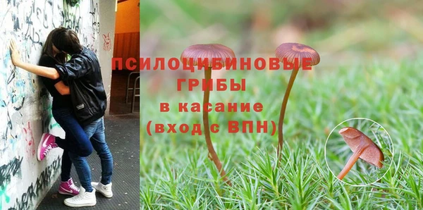 гашиш Балахна