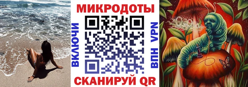 блэк спрут ссылки  Бирюсинск  Псилоцибиновые грибы Psilocybine cubensis 
