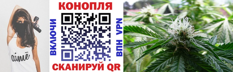 Шишки марихуана MAZAR  Бирюсинск 